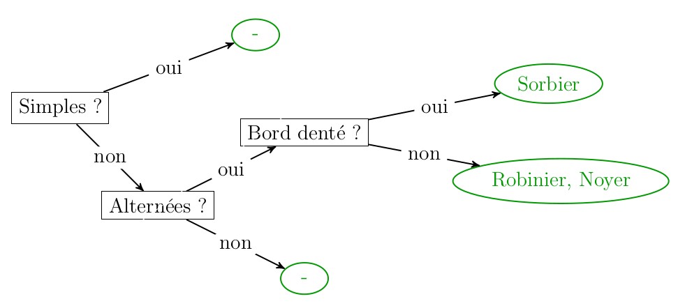 Figure 2. Arbre de décision 2.