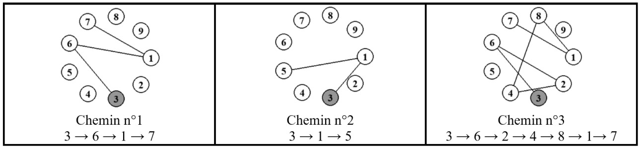 Figure 3. Trois chemins non prolongeables possibles en partant du nombre 3.
